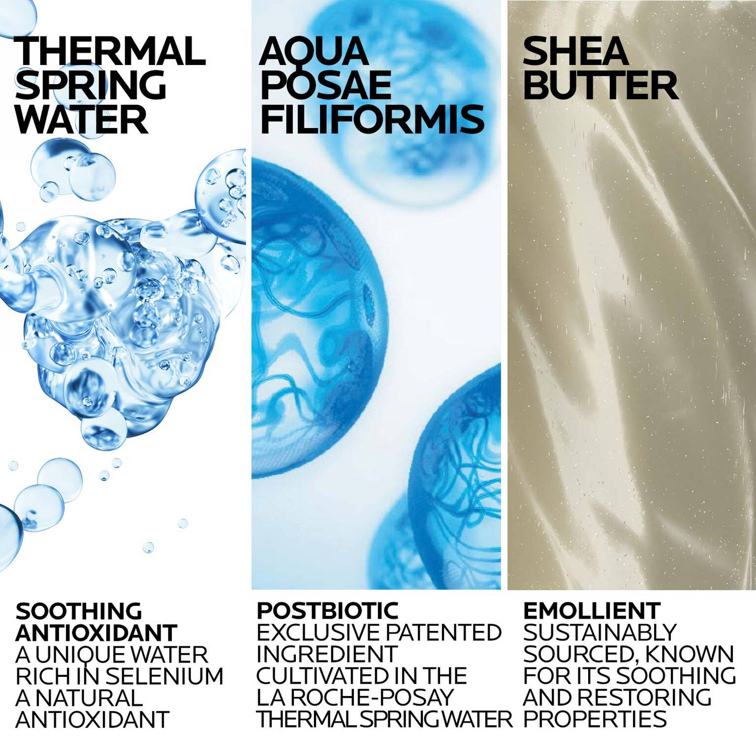 lipikar-wash-ap-moisturizing-body-and-face-wash-q4 Lipikar-Wash-ingredients_1500x1500-REV.jpg